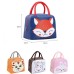 Insulated  Lunch Box Bag