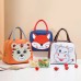 Insulated  Lunch Box Bag