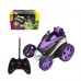 Wireless remote control electrical car